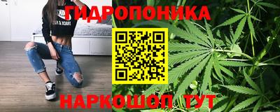 spice Мариинск